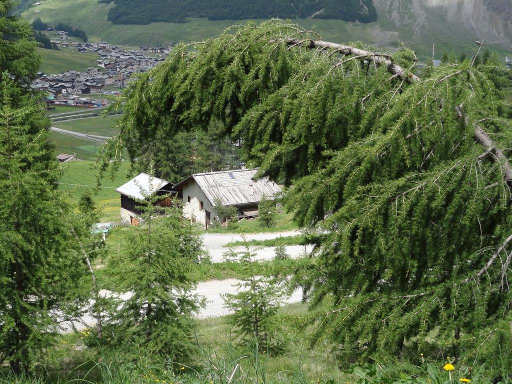 Hotel Marzia Livigno Luaran gambar